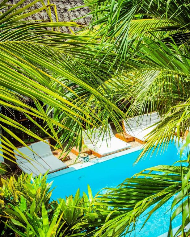 Kilimanjaro
